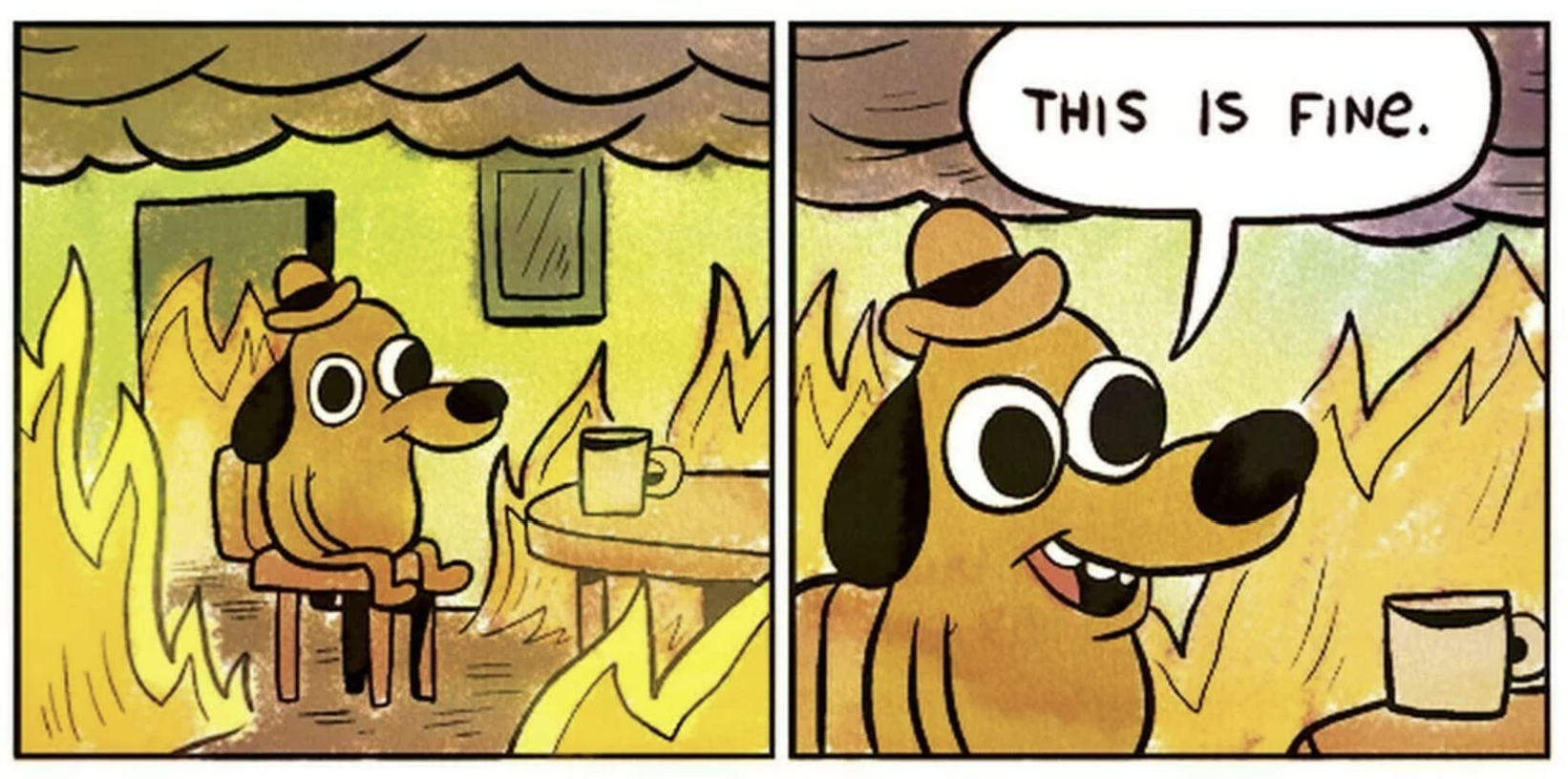 The 'this is fine' meme. A cartoon dog in a little hat is sat in a room that's on fire, saying 'this is fine'.