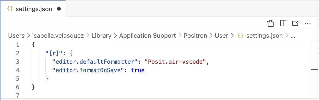 Screenshot of the Positron settings.json file