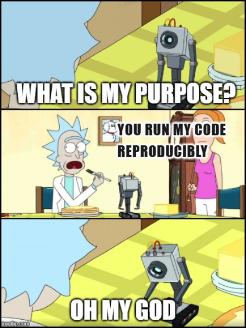 Meme from Rick and Morty cartoon. Shows a small robot asking Rick 'What is my purpose?'. Rick replies 'You run my code reproducibly'. The robot, disillusioned, says 'oh my god'.